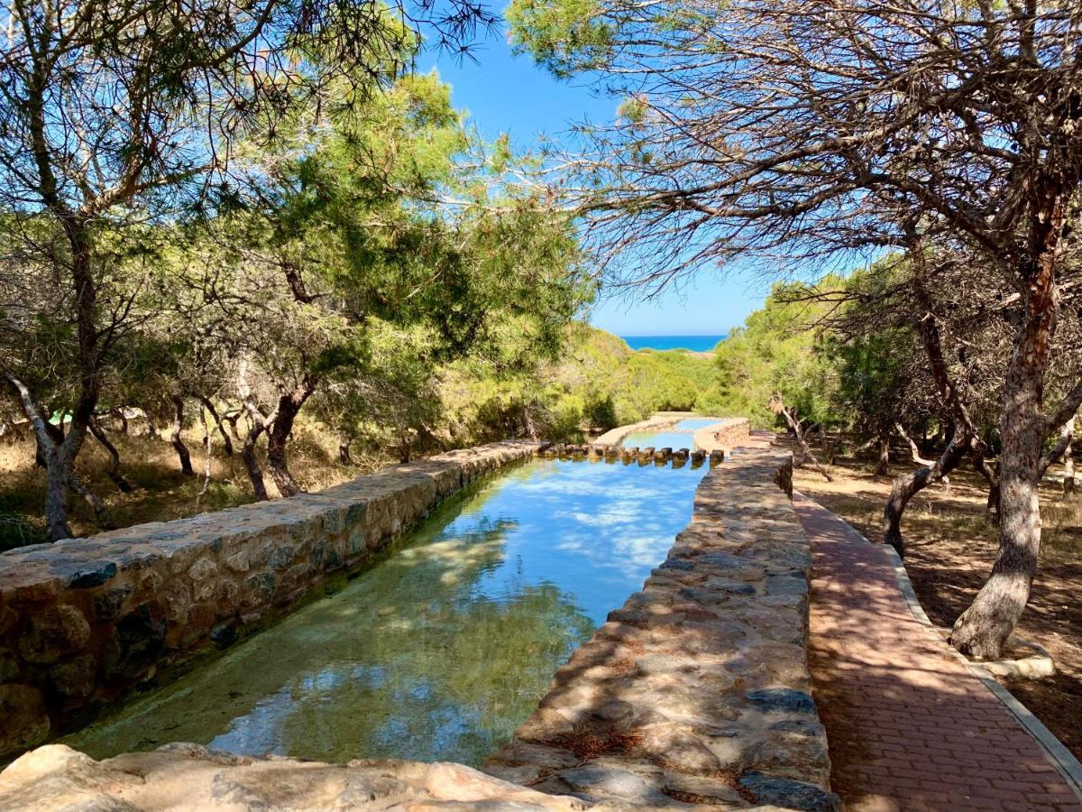 Your Holidays In La Mata Торевьиа Экстерьер фото
